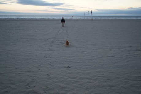 deauville