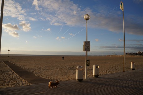 deauville