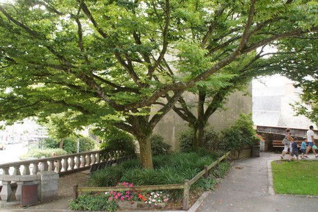 fougeres