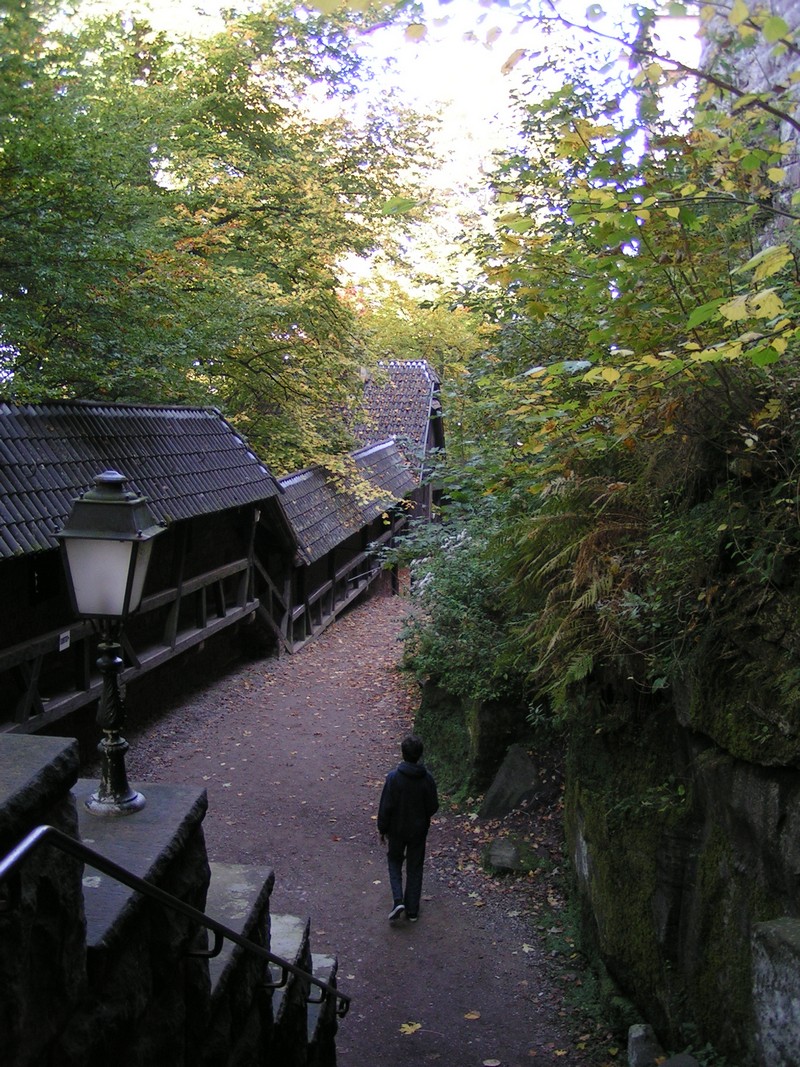 haut-koenigsbourg