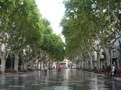 provence