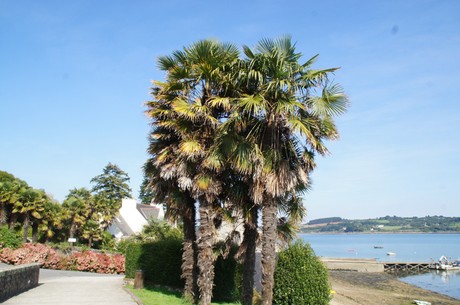 landevennec