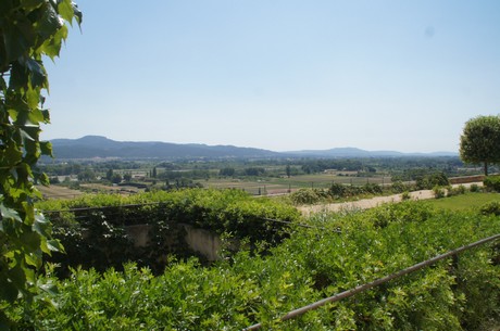 Lauris