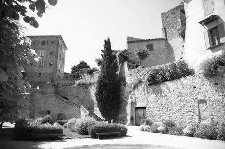 Lauris