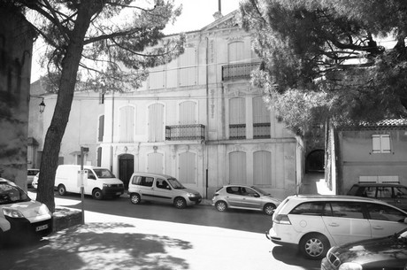 Lauris