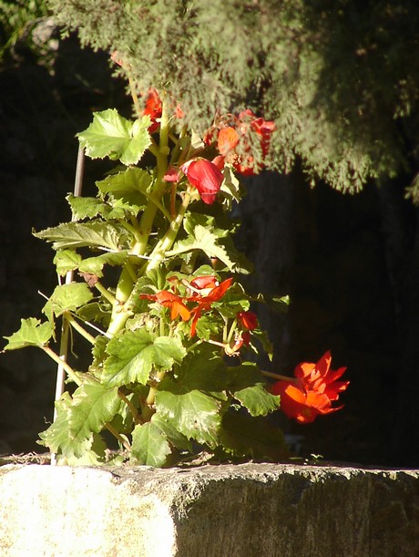 lourmarin