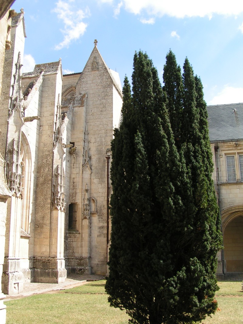 lucon-kathedrale