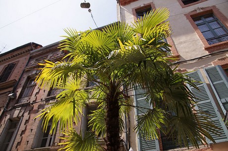 Montauban