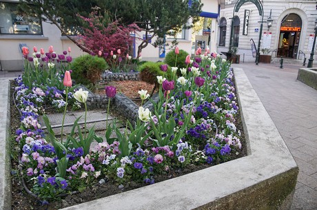 Montelimar