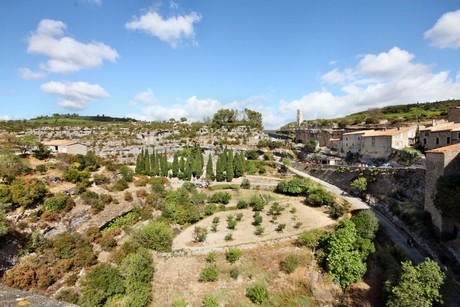 minerve