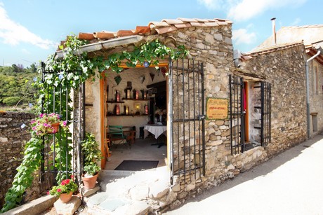 minerve