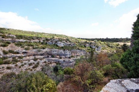minerve