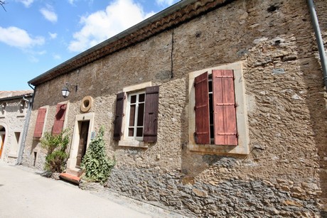 minerve