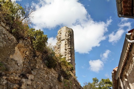 minerve