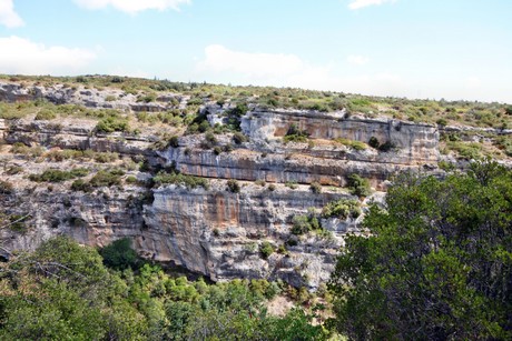 minerve