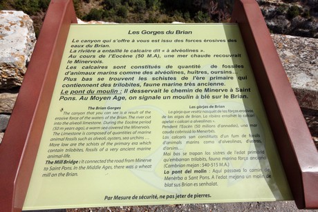 minerve