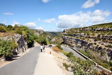 minerve
