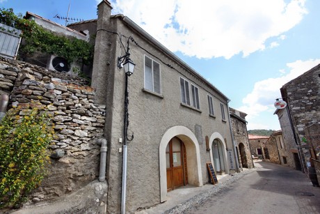 minerve