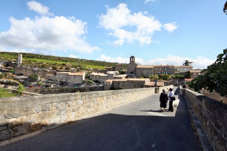 minerve