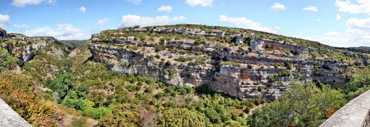 Minerve
