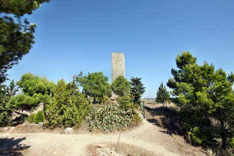 montady