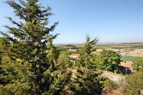 montady