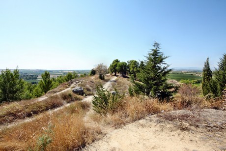 montady