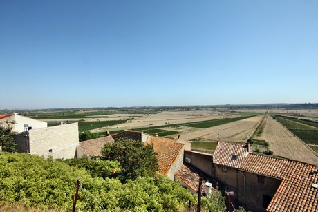 montady