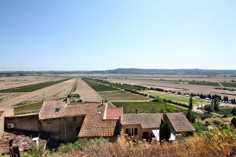 montady