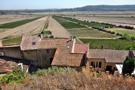 montady