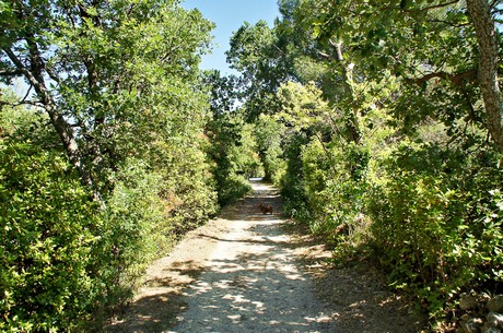 oppede-le-vieux