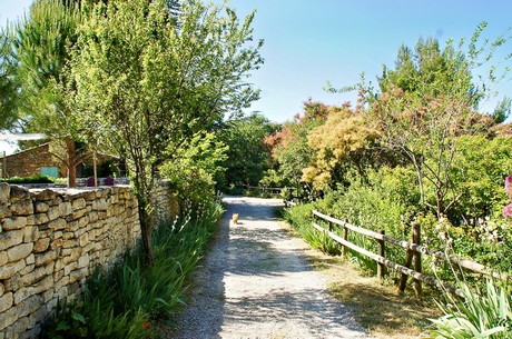 oppede-le-vieux