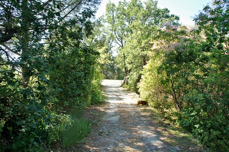 oppede-le-vieux