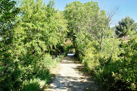 oppede-le-vieux
