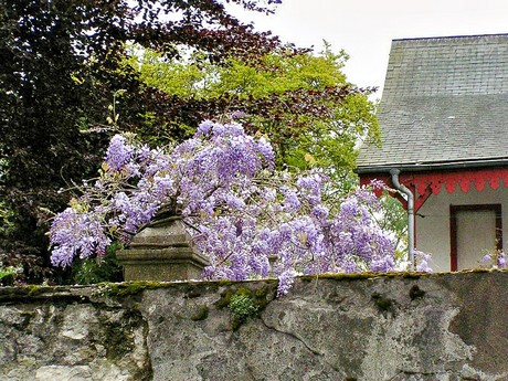 orthez
