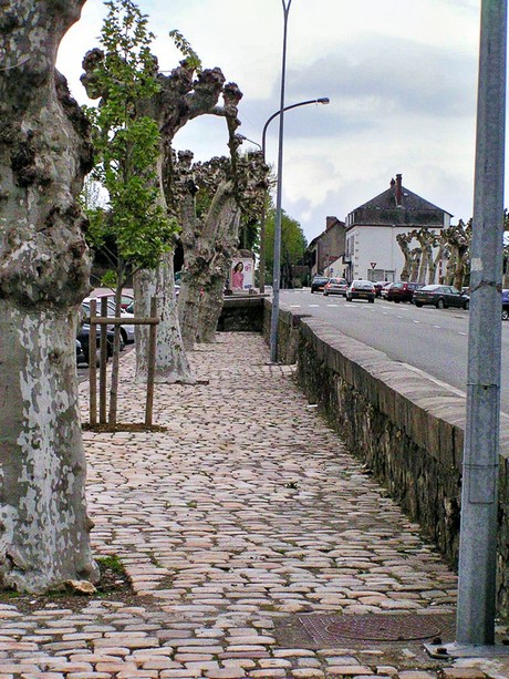orthez