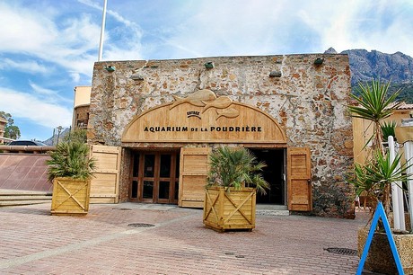 porto-aquarium