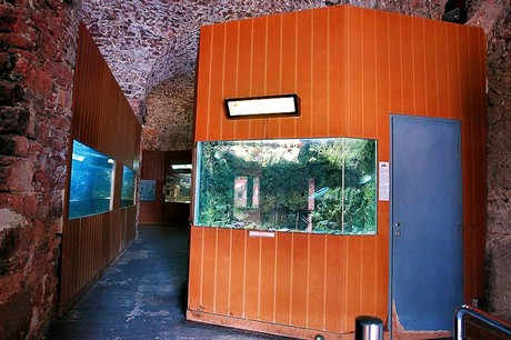 porto-aquarium