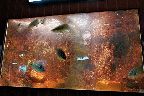 porto-aquarium