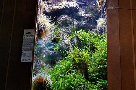 porto-aquarium