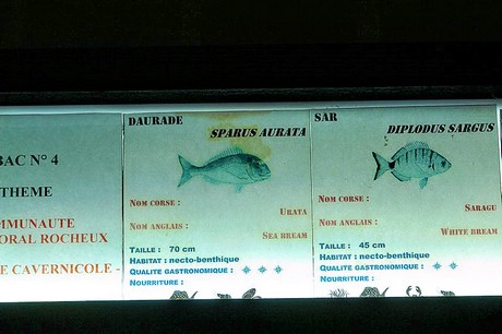 porto-aquarium