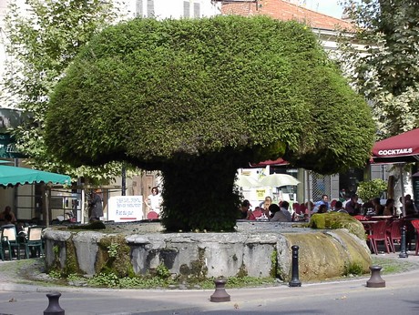 salon-de-provence