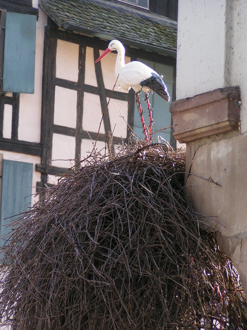 petite-france
