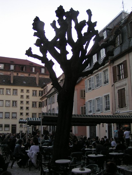 place-marche-gayot