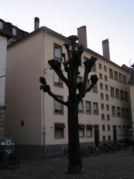 place-marche-gayot