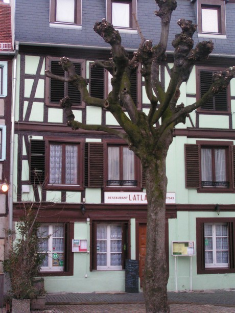 place-marche-gayot