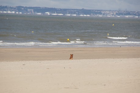 trouville-sur-mer
