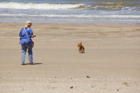 trouville-sur-mer