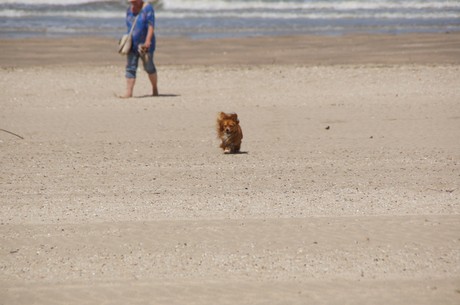 trouville-sur-mer