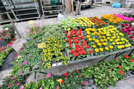 markt